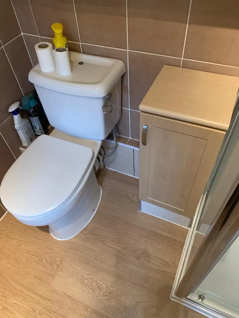 Toilet, storage unit and wood-effect flooring beside a walk-in shower