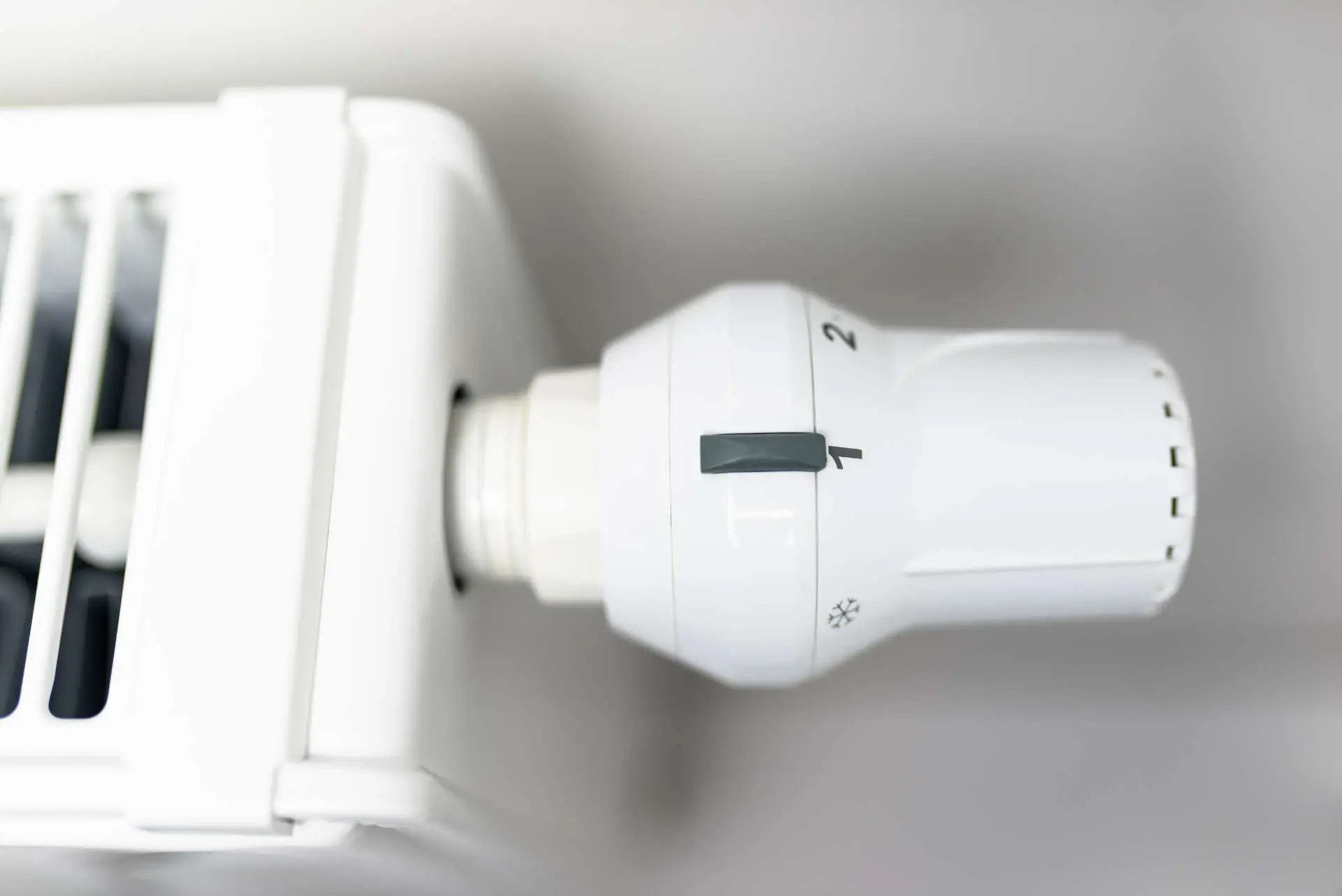 Close-up of a white radiator thermostatic valve